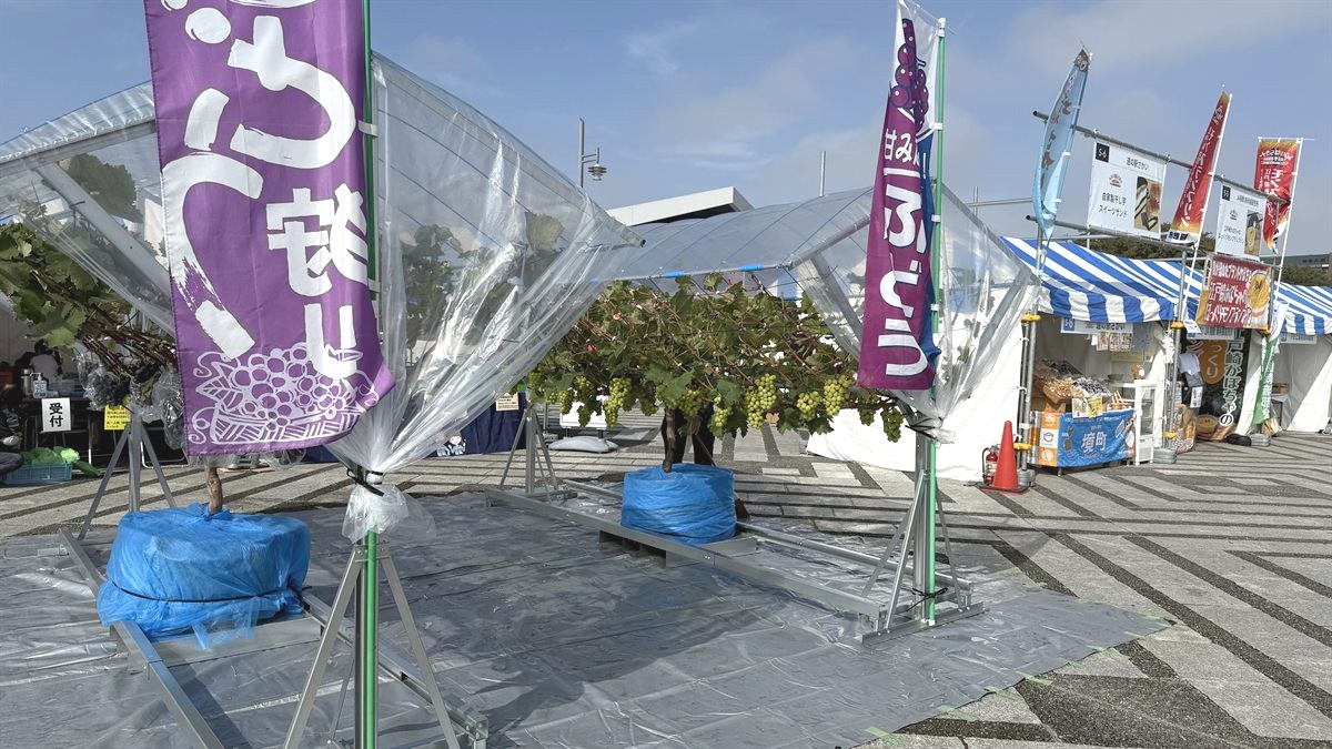 茨城をたべよう収穫祭2025で展示したモバイルグリーンガーデン